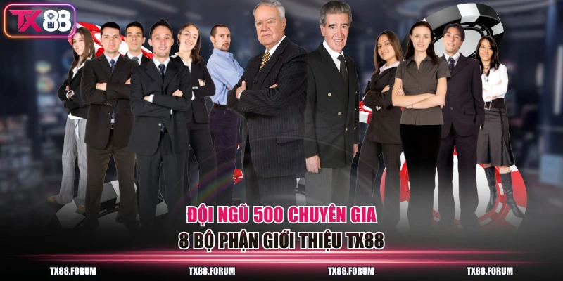 Đội ngũ 500 chuyên gia 8 bộ phận giới thiệu TX88
