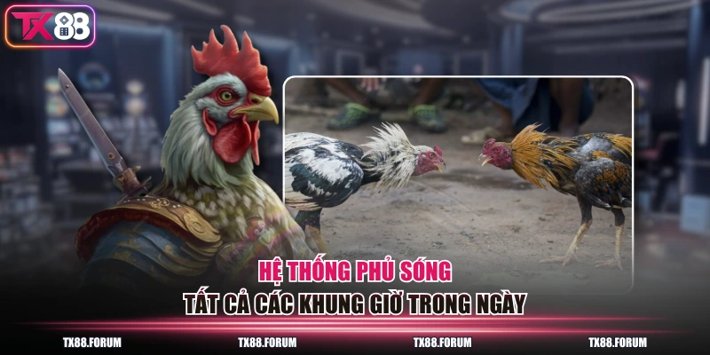 Hệ thống phủ sóng tất cả các khung giờ trong ngày