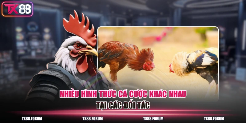 Nhiều hình thức cá cược khác nhau tại các đối tác