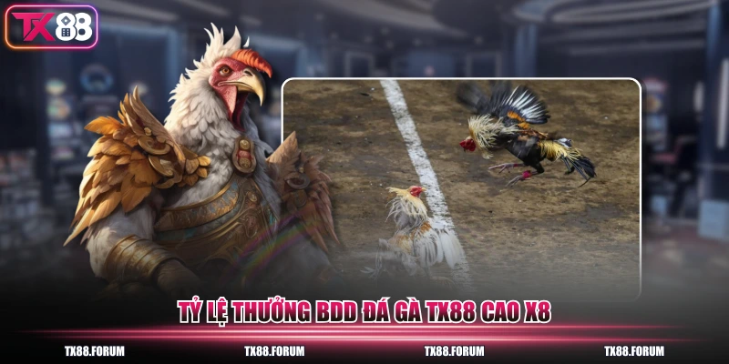 Tỷ lệ thưởng BDD đá gà TX88 cao x8